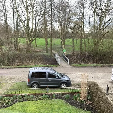 Neu! Schickes Und Modernes Ant Zingel